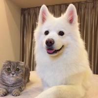 小鹿 报名时间：2019-03-15 23:33